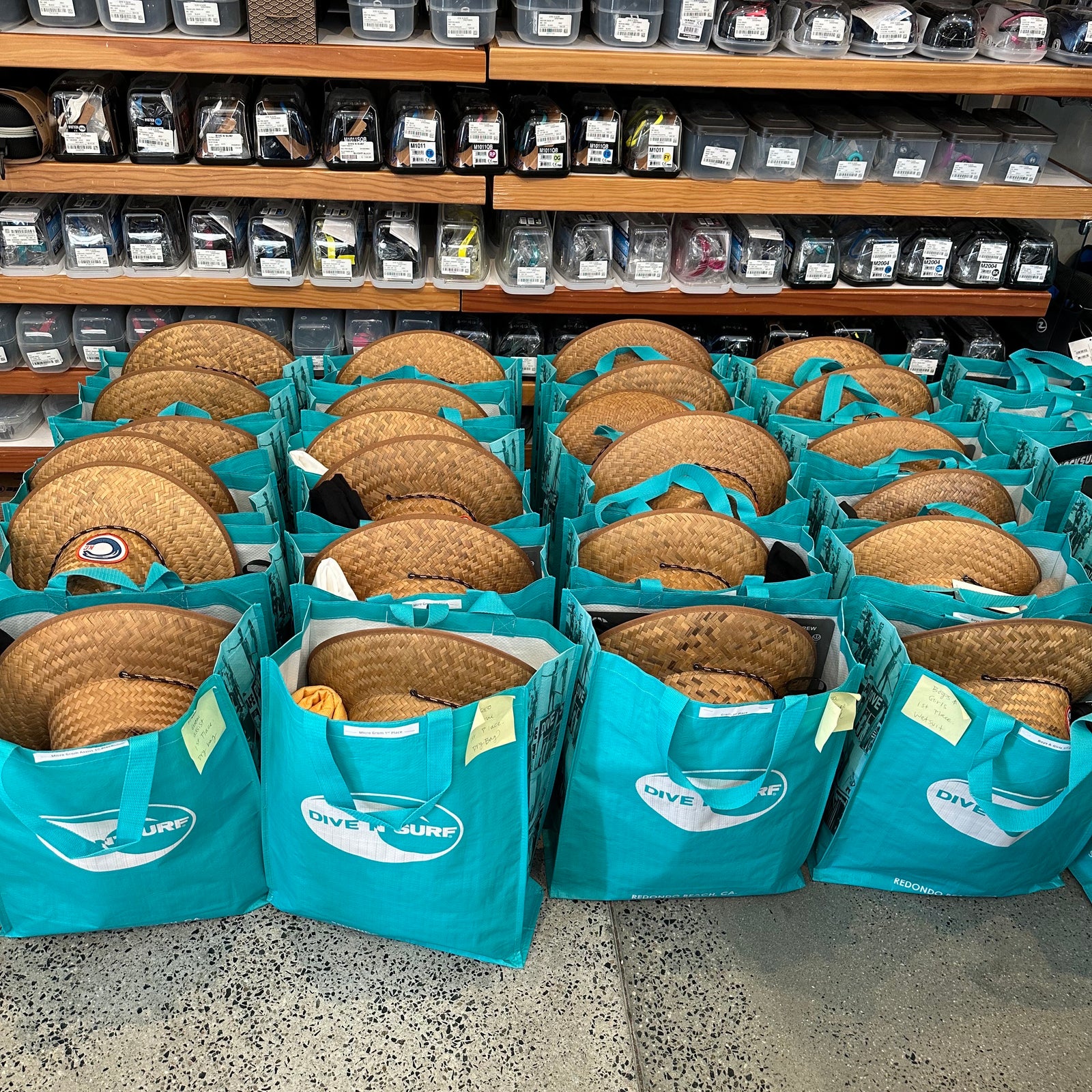 Dive N'Surf Event Sponsored by California Kids Collection